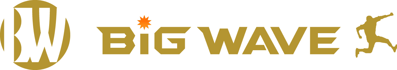 株式会社BIG WAVE